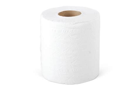 toilet tissue