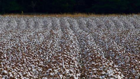 Black Man’s Job Held Retreat At Plantation So He Arrives Dressed As Django Because… Why Not