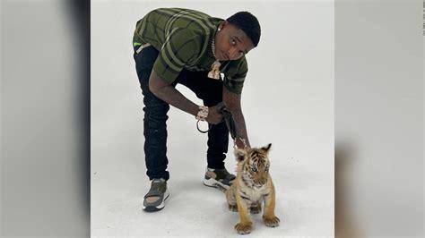 Trapboy Freddy arrested for gun possession, as police also seize tiger cub, from his home