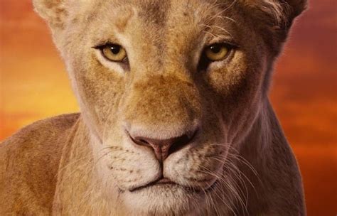 Did You Know? The Original ‘Lion King’ Movie Is Based On The First Ruler Of The Mali Empire