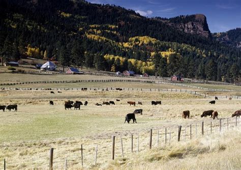 Black Colorado couple arrested after making complaints about harassment on their farm