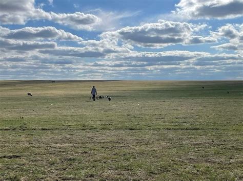 Black Colorado ranchers say racists are mutilating their animals