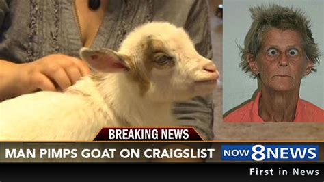 Man Arrested For ‘Pimping’ Blind, Disabled Goat On Craigslist, But Not Before Making Over $100k